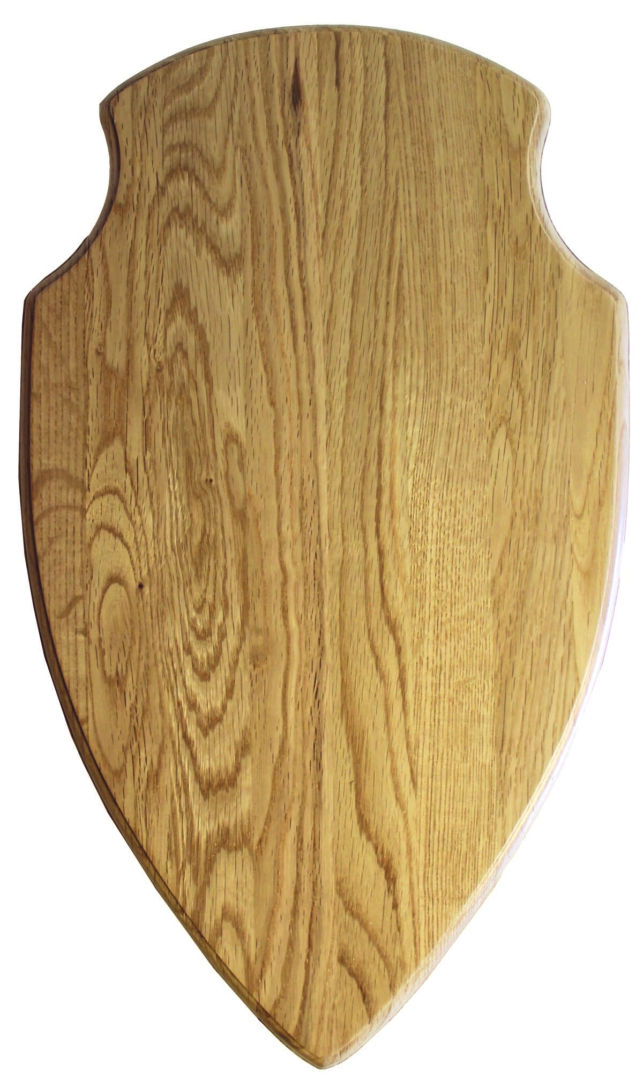 Trofesköld Älg, natur