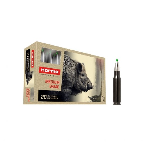 Norma Ecostrike Silencer kal308.Win 9.7g 150gr