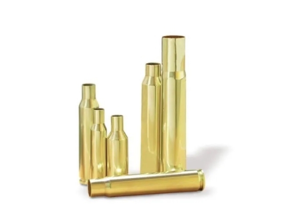 Norma Hylsor 8,5x55 Blaser