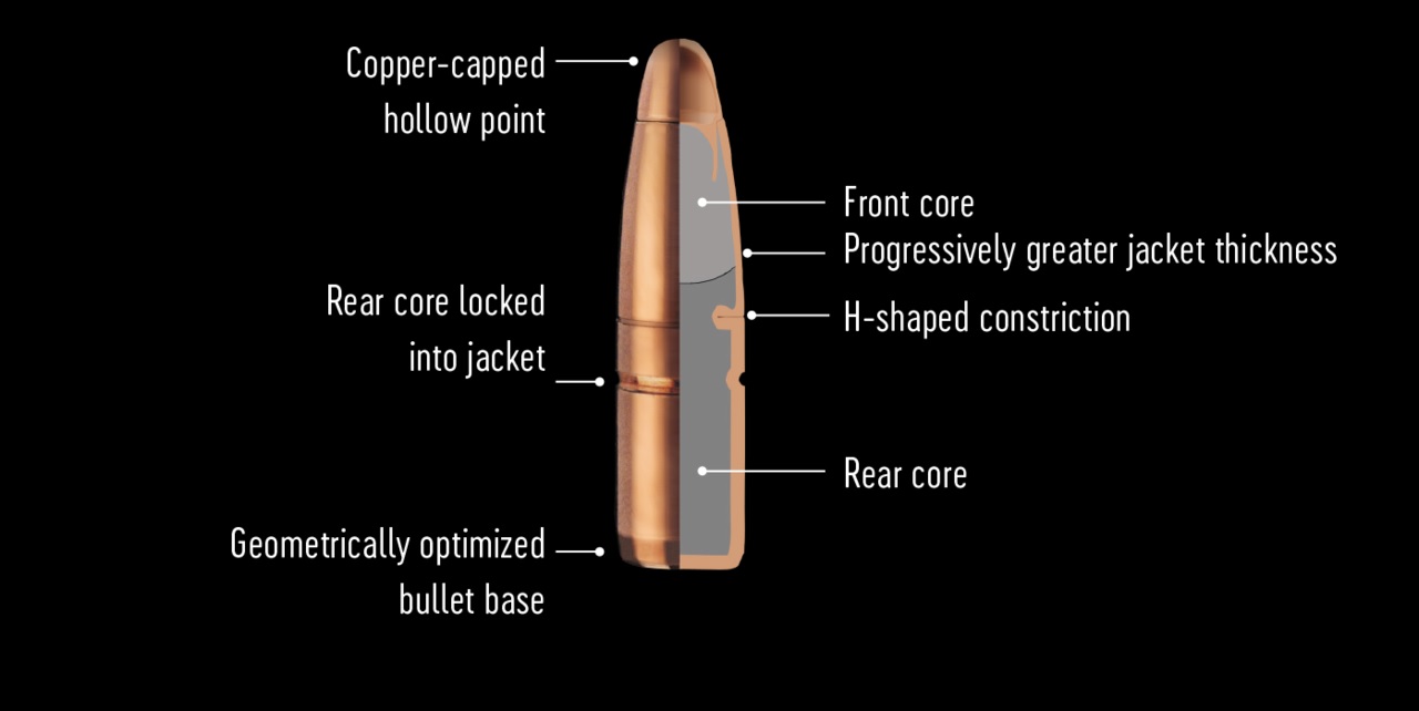 RWS H-Mantel Hunting 7x65R 11.2g 173gr