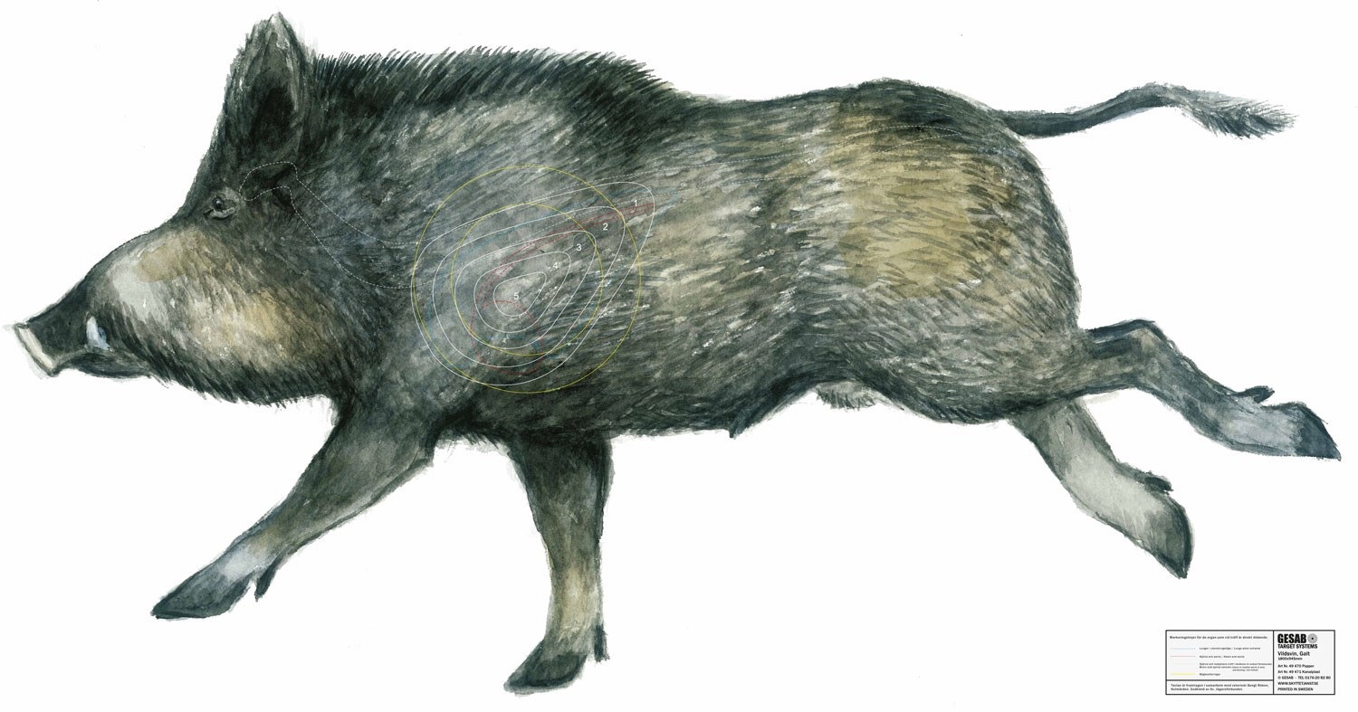 Vildsvin Galt 49470 Löpande Papper 180x95cm