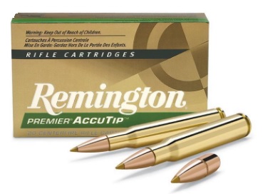 Remington Accutip 30-06 180gr