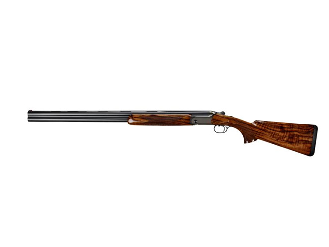Blaser F16 Game