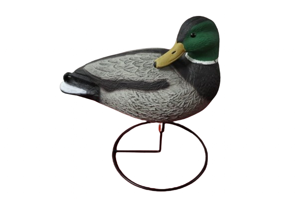 Gräsand på ställning Drake