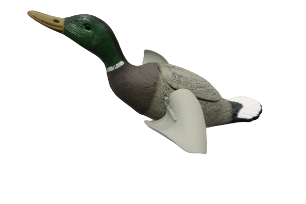 Gräsand Flygande Drake