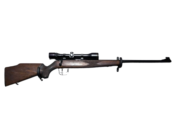 BEG Krico 302 L, 22 LR, 362314