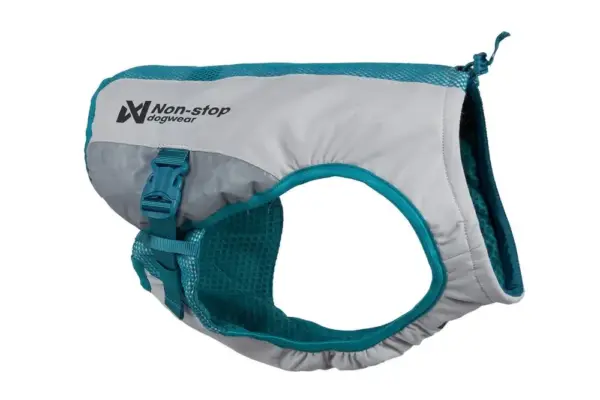 Cooling vest