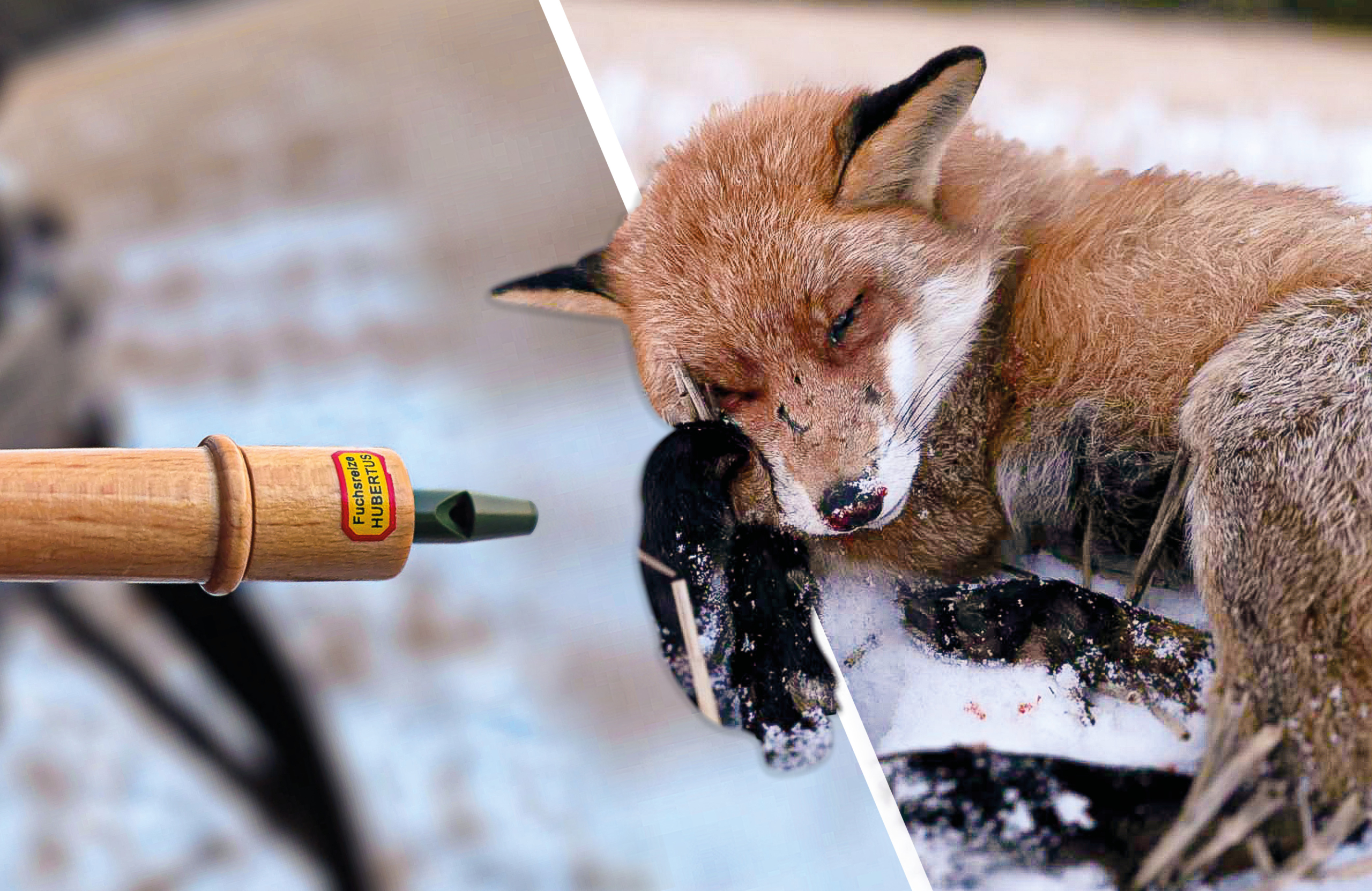 Rävlock – praktiska tips för bättre resultat i passet