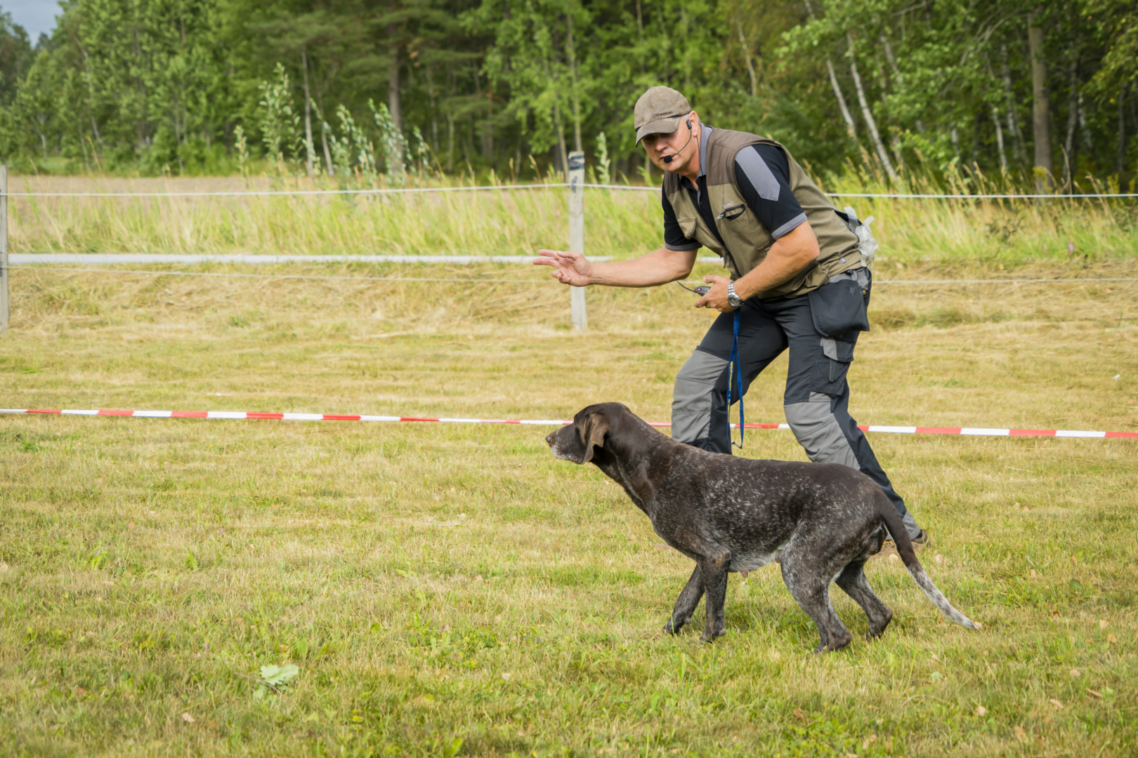 Jakt hund